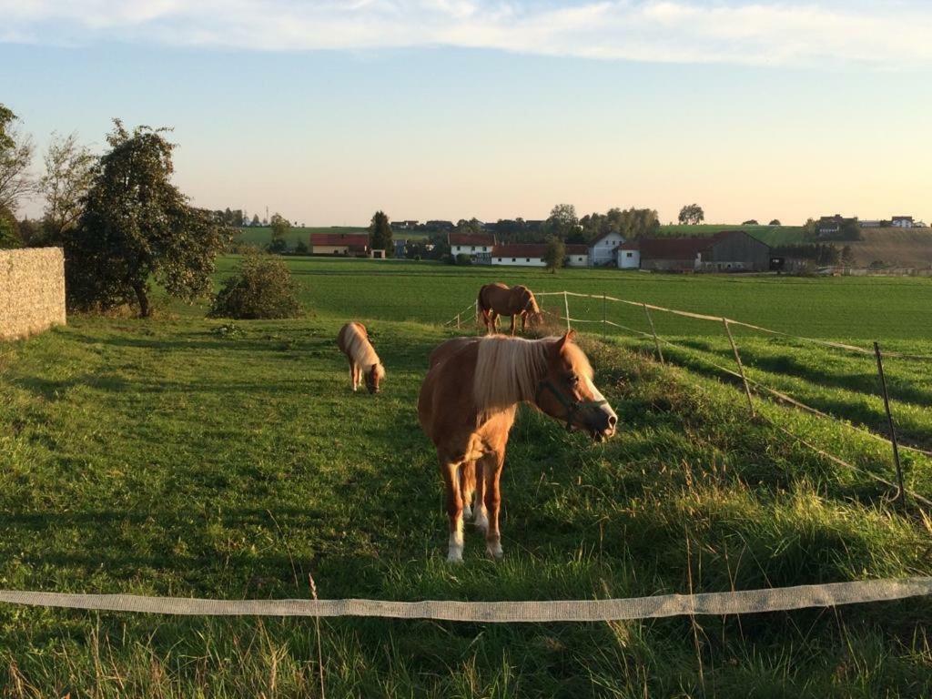 Ferienhof Loew Salzweg Exteriér fotografie