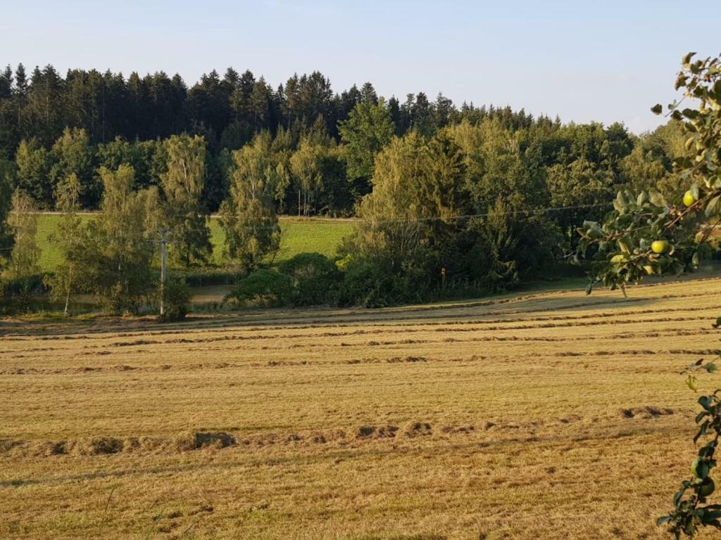 Ferienhof Loew Salzweg Exteriér fotografie