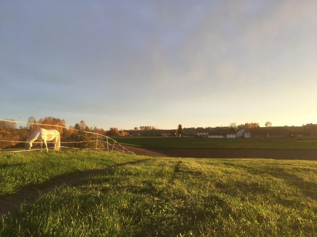 Ferienhof Loew Salzweg Exteriér fotografie